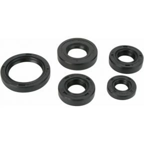 Пълен кит Семеринги за двигател Moose Racing ЗА KAWASAKI KLF 300 1986-2005