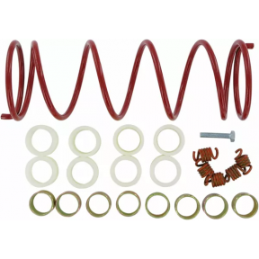 Кит Пружини за Съединител EPI Performance Sport Utility ЗА ARCTIC CAT H1 650 2006-2008
