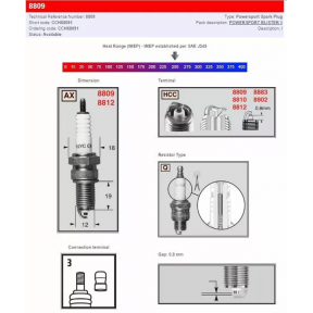 Запалителна свещ CHAMPION S-Plug 8809