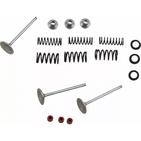 Кит Клапани и Пружини Intake Moose Racing ЗА YAMAHA YFZ 450 2004-2018