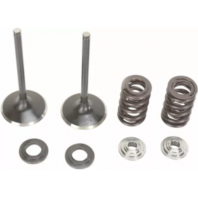 Кит Клапани и Пружини Intake Moose Racing ЗА HONDA TRX-R 450 2006-2014