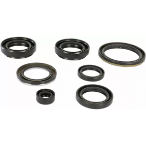 Пълен кит Семеринги за двигател Moose Racing ЗА SUZUKI/ARCTIC CAT LT-A/DVX 400 2002-2015