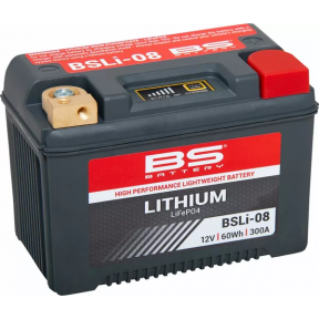 Литиев Акумулатор BS Battery LiFePO4 300A
