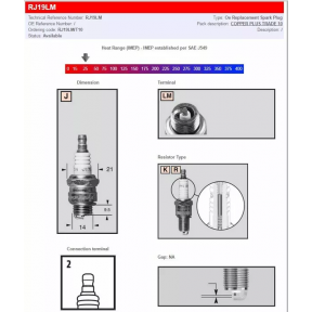 Запалителна свещ CHAMPION S-Plug RJ19LM