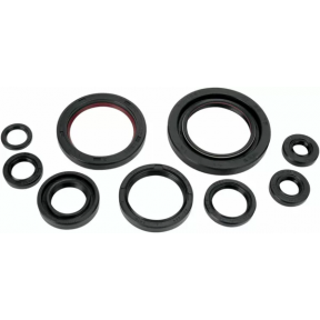 Кит Семеринги за Двигател Moose Racing ЗА HONDA TRX-ER/R 450 2006-2014